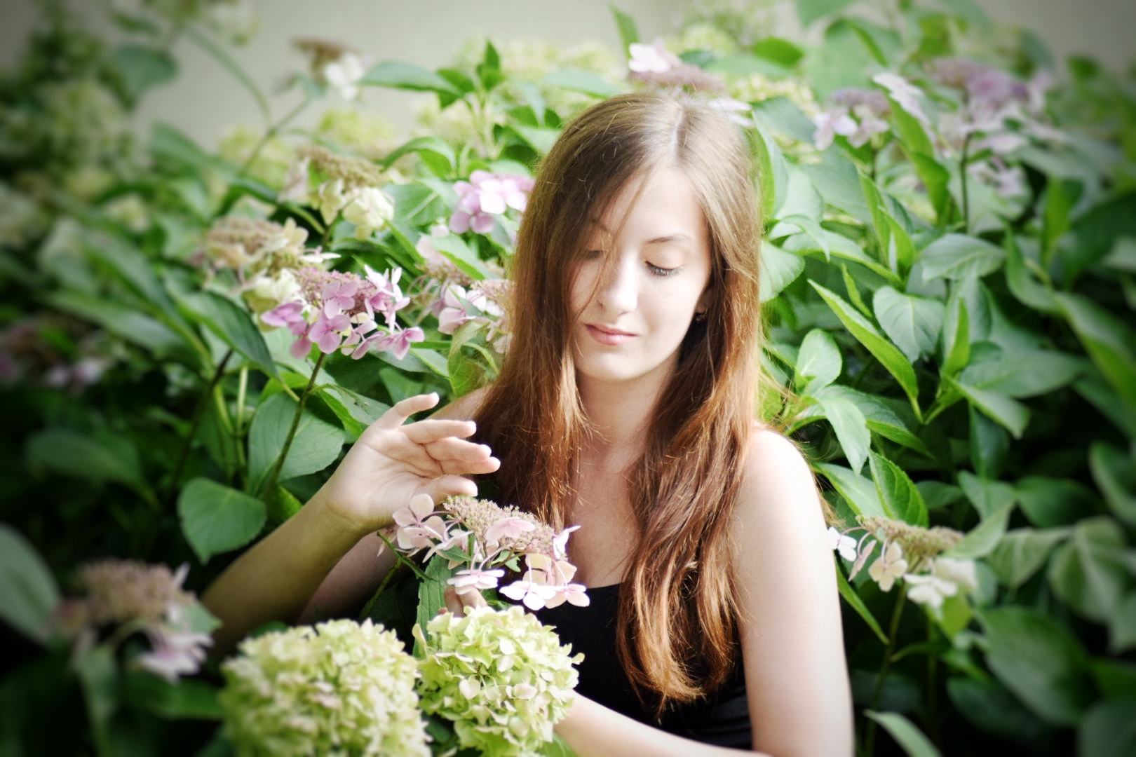 Florista