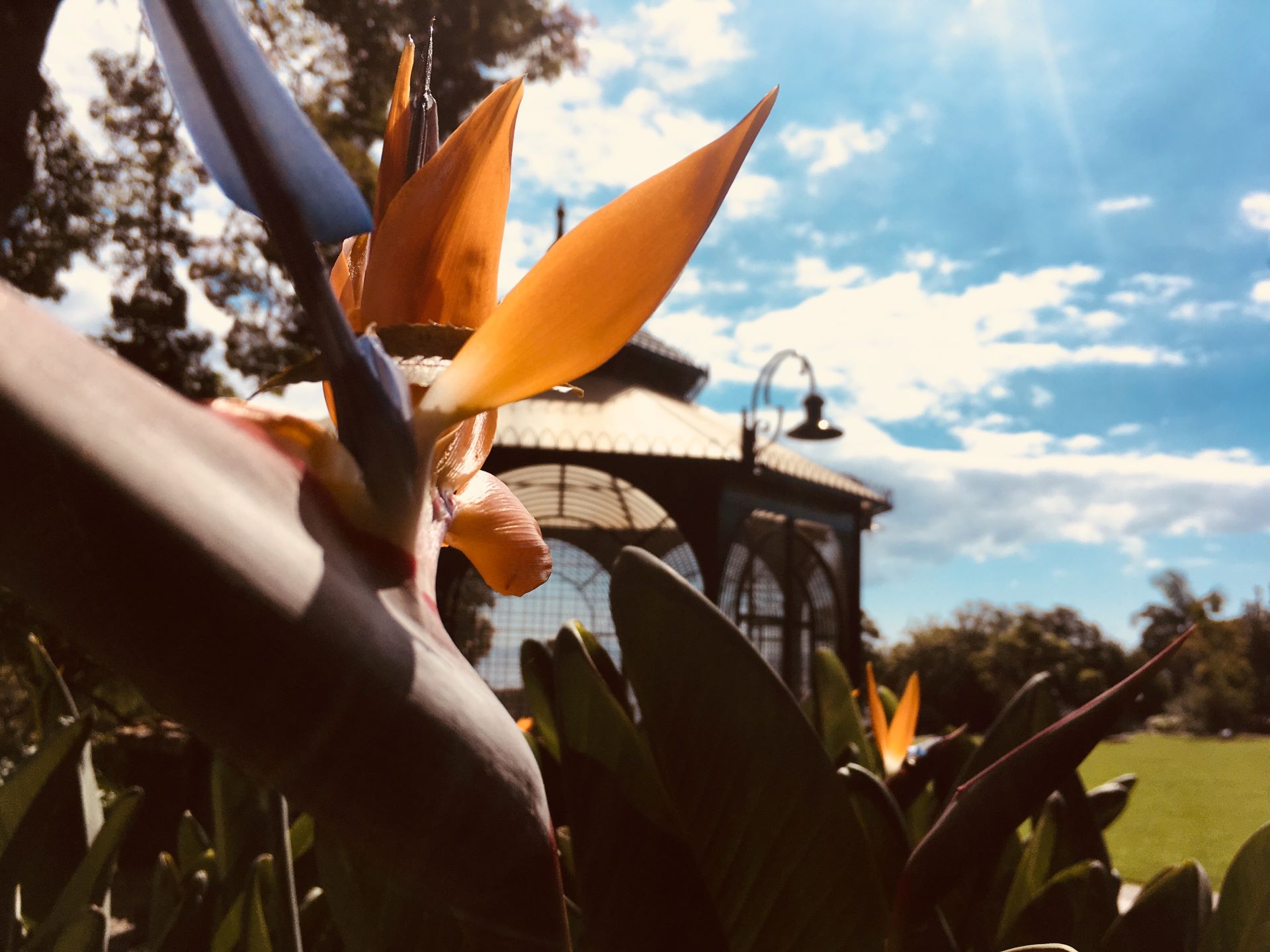 Botanická zahrada Madeira