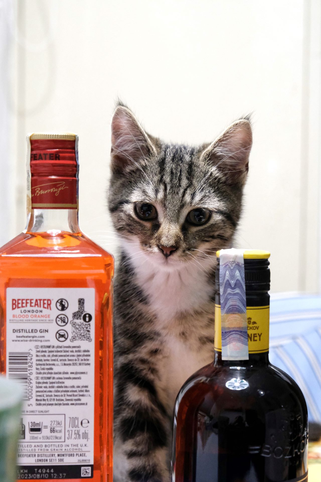 Alkoholik